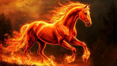 С Новым 2026 годом