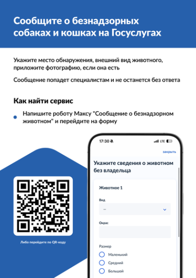 На портале «Госуслуги» можно уведомить о безнадзорном животном